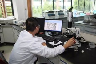 義烏開展襯衫生產企業質量分析測試專項活動，技術服務助力產業升級