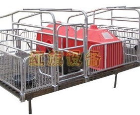 安平縣紅旗養(yǎng)豬設(shè)備廠(chǎng) 專(zhuān)注于養(yǎng)殖設(shè)備供應(yīng)的可靠合作伙伴