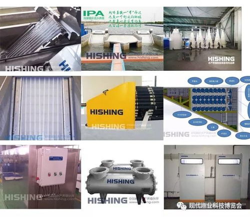 智能科技引領(lǐng)漁業(yè)新篇章 無人艇、增氧機(jī)、循環(huán)水與自動(dòng)喂料設(shè)備亮相現(xiàn)代漁業(yè)科技博覽會